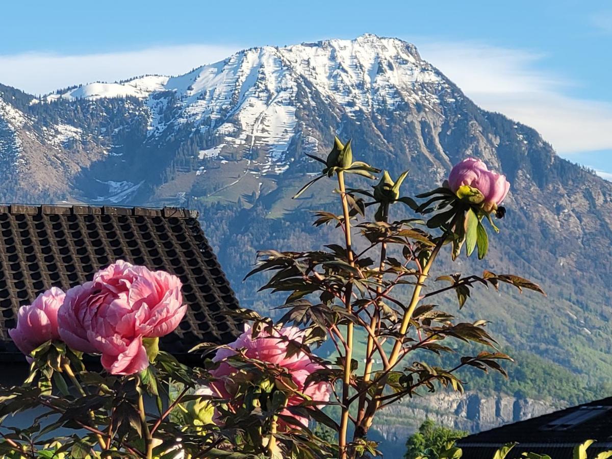 Villa Castagna Guesthouse Lucerna Zewnętrze zdjęcie